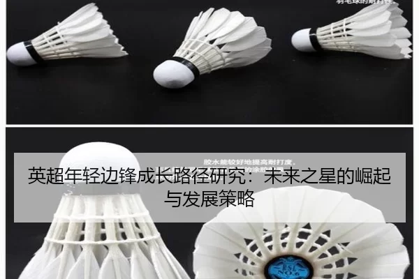 英超年轻边锋成长路径研究：未来之星的崛起与发展策略